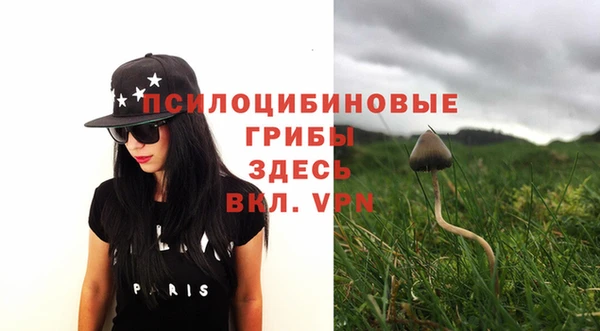 сатива Верхний Тагил