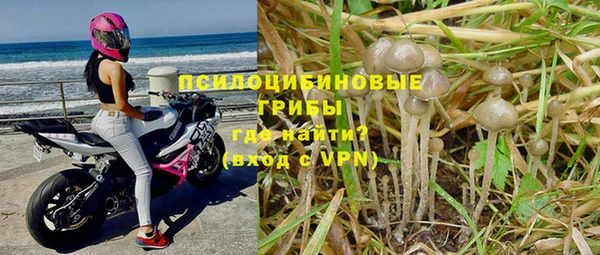 сатива Верхний Тагил