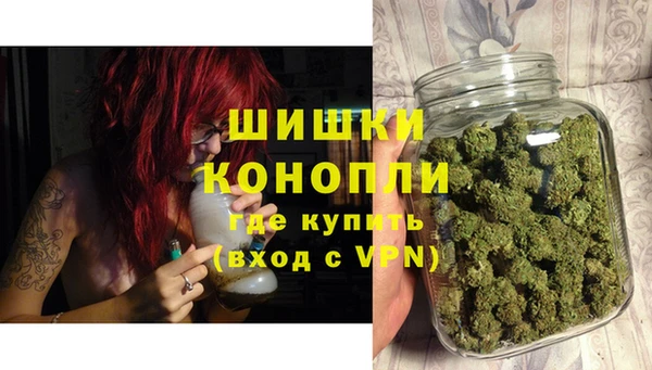 Альфа ПВП Верея