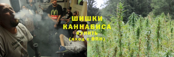 Альфа ПВП Верея