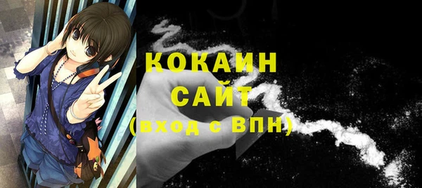 сатива Верхний Тагил