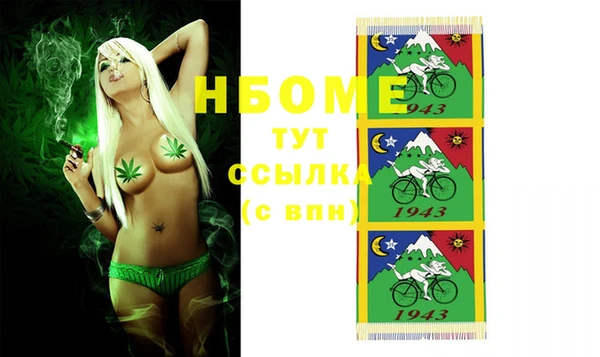 Альфа ПВП Верея