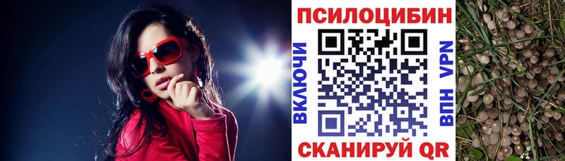 Галлюциногенные грибы MAGIC MUSHROOMS  Курган 